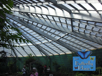 Structural Iron Fabrication & Ornamental Security Bars